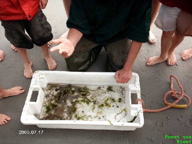 PvK 1.Lager 05   051